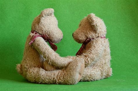 Royalty-Free photo: Two brown bear plush toys facing each other | PickPik