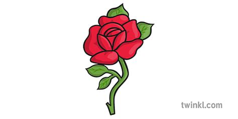 Rose Symbolism in Literature | Meanings and Examples