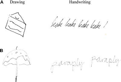 Frontiers | The Importance of Cursive Handwriting Over Typewriting for Learning in the Classroom ...