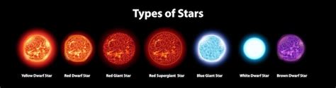 Premium Vector | Different types of stars