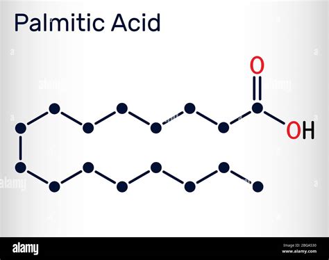 Palmitic acid or hexadecanoic, C16H32O2 molecule. It is saturated fatty acid. Structural ...