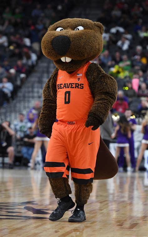 Oregon State Basketball: 3 reasons why Beavers can win Pac-12 in 2019