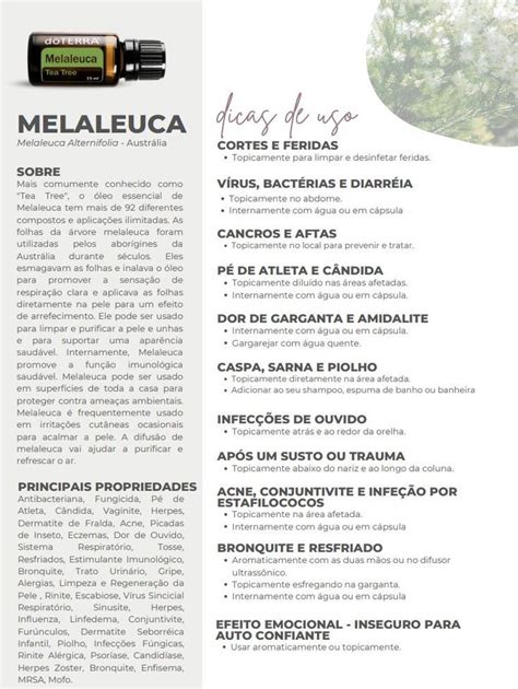 Melaleuca, Wild Orange, Perfume, Libido, Peppermint, Stress, Essential Oils Guide, Doterra ...