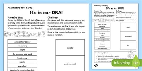 ‘It’s In Our DNA’ Worksheet - Biology - Twinkl