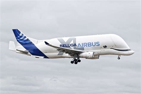 Airbus Beluga XL - Price, Specs, Photo Gallery, History - Aero Corner