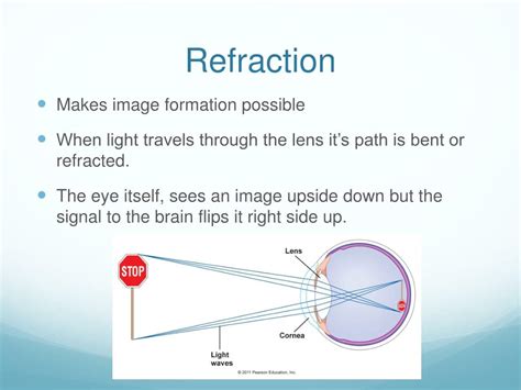 Diffraction vs refraction color - consultancyjoker