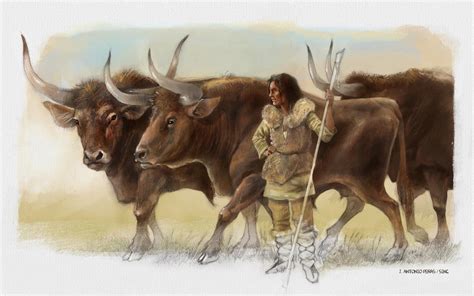 The DNA of three aurochs found next to the El | EurekAlert!