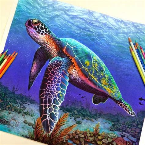 Ilustración hiperrealista con lápices de colores. | Arte de tortugas marinas, Tortugas dibujos ...