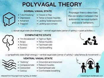 Polyvagal Theory by Ms Moo's Musings | TPT