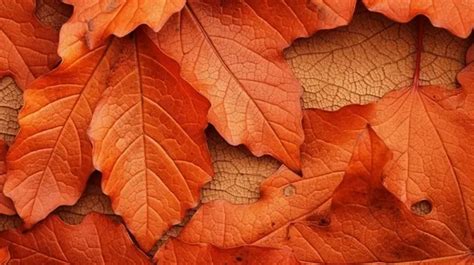 Background Texture Of Red Oak Leaves Showcasing Intricate Leaf Veining, Flower Tree, Flower ...