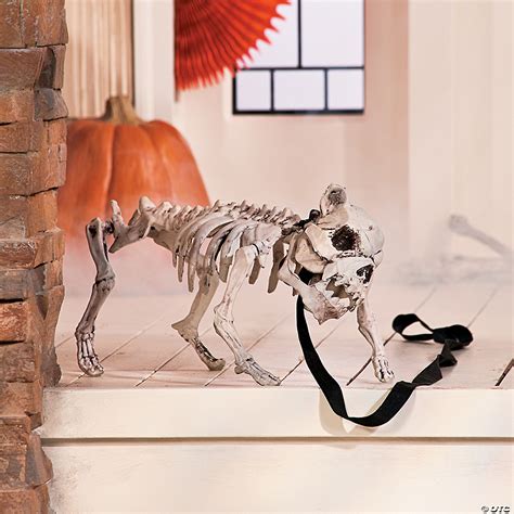 Halloween Skeleton Dog | Oriental Trading