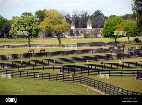 Horse farms in Ocala Florida FL Stock Photo - Alamy