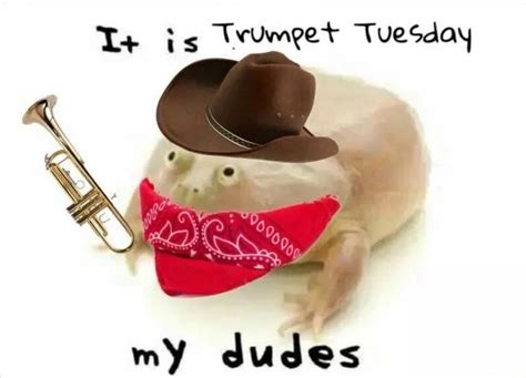 It is Trumpet Tuesday My Dudes | It Is Wednesday My Dudes | Know Your Meme