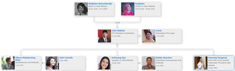 Joko Widodo’s family tree — Keluarga Jokowi - Blog for Entitree