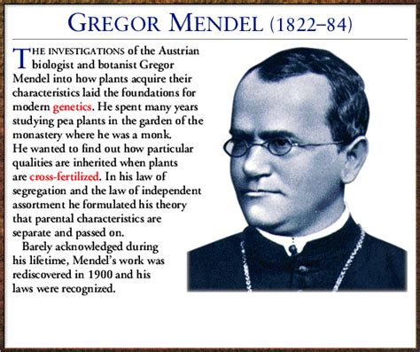 Gregor Mendel Quotes. QuotesGram