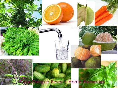 Dengue Fever 5 Ways to Prevent/Cure Dengu Home Remedies [Dengue Prevention] - EshuSoft.com