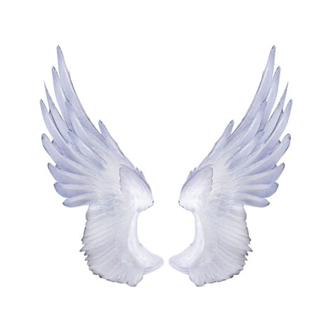 Angel Wings PNG Transparent Images Download for Free - Clip Art Library