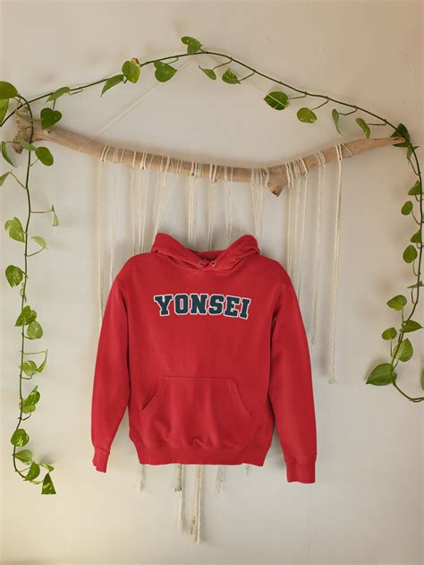 Yonsei University Unisex Hoodie Seoul, Korea College Sweatshirt - Etsy