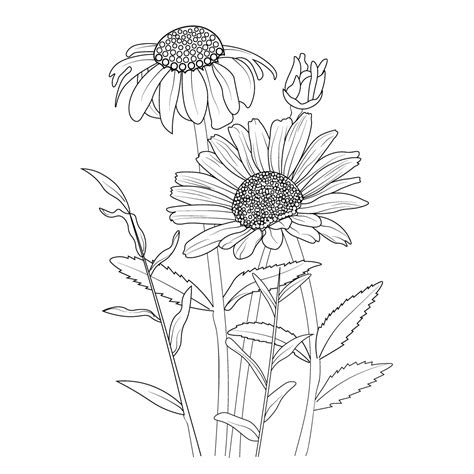 gerbera daisy drawing outline, easy gerbera daisy drawing, outline ...