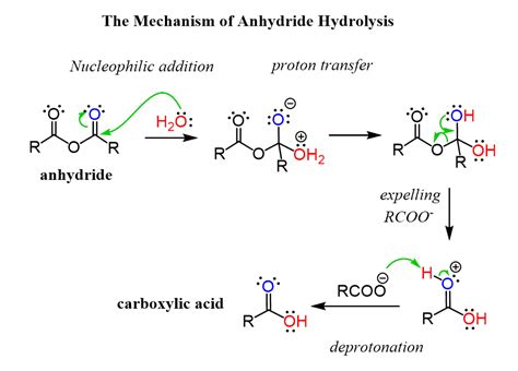 Preparation and Reaction Mechanisms of Carboxylic Anhydrides ...