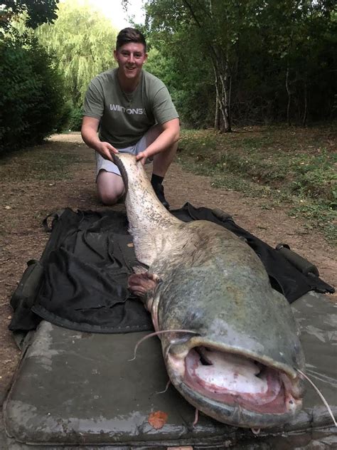 "Big Bad Barry" 90lb July 22 - Wintons Fishery