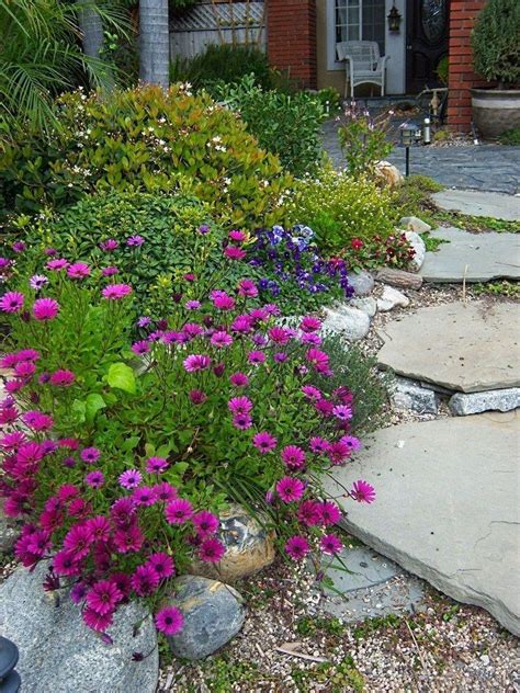 38 Best Drought Tolerant Plants That Grow In Lack Of Water – Wonderfulbackyard | Drought ...