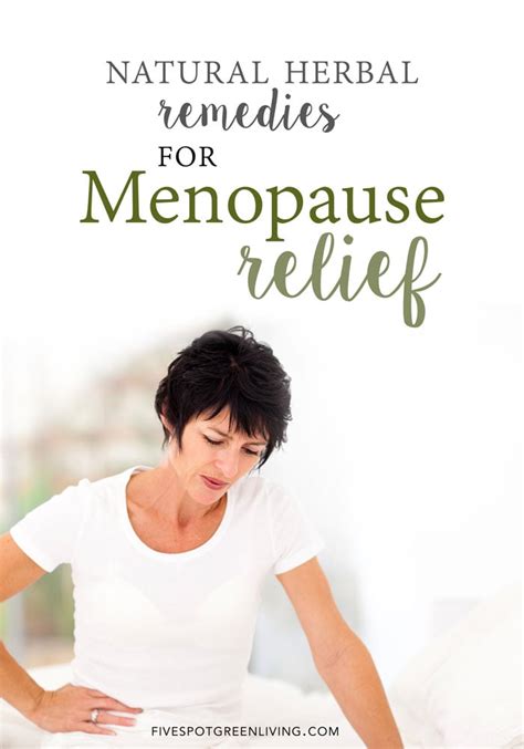 7 Natural Remedies for Menopause Relief - Five Spot Green Living