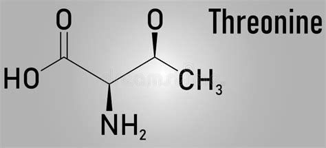 Threonine or L-threonine, Thr, T, Amino Acid Molecule. Skeletal Formula Stock Vector ...