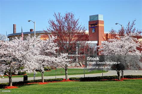 Tsongas Center Stock Photo - Download Image Now - Lowell ...