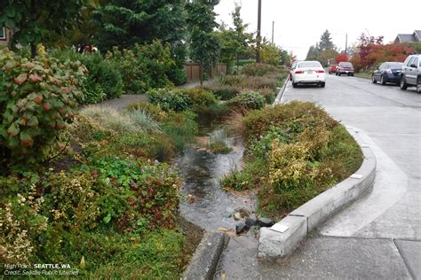 Seattle Stormwater Management | Rain garden design, Stormwater, Landscape design