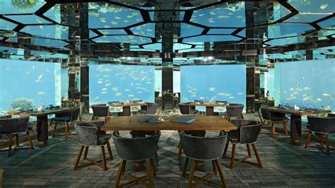 loveisspeed.......: Sea Underwater Restaurant - Anantara, Kihavah - Maldives