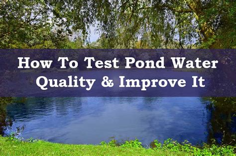 How To Test Pond Water Quality Easily & Improve It - Pond Wiki