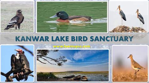 Kanwar Lake Bird Sanctuary - Learn UPSC