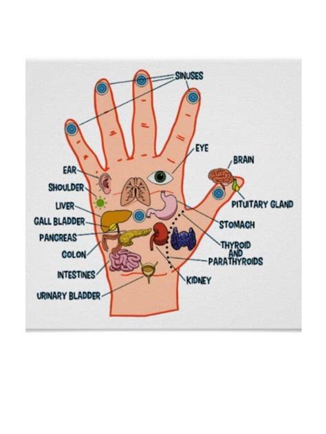 HAND REFLEXOLOGY CHART - Etsy Canada