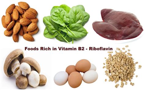 Riboflavin Vitamin - Foods, Supplements, Deficiency, Benefits, Side Effects