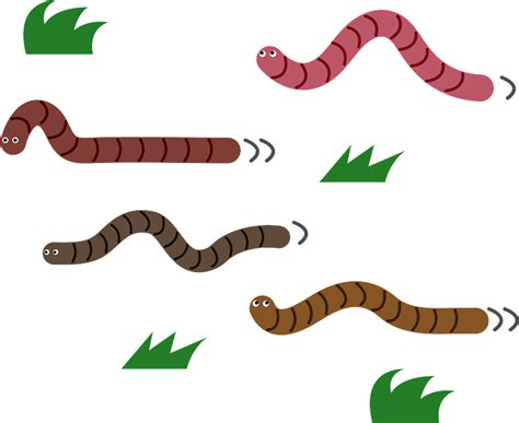 Earthworms Animal Clipart - Earthworm - Png Download - Full Size Clipart (#5334016) - PinClipart
