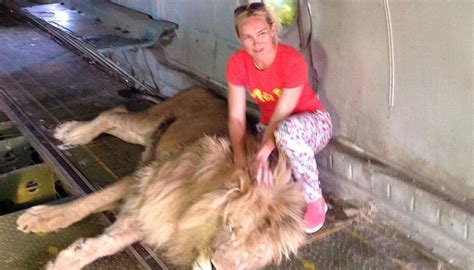 Photo taken moments before lion mauled woman | Newshub