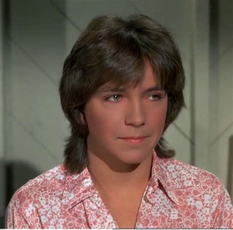 Pin by Rose Marie Robledo on Partridge Family | David cassidy, Partridge family, Heartthrob