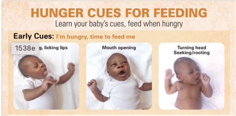 Hunger Cues Tear Pad, Jasmine – Bilingual - Noodle Soup