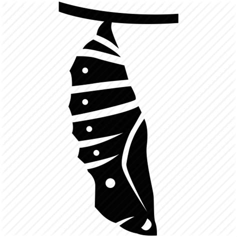 pupa png 10 free Cliparts | Download images on Clipground 2024