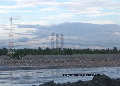 Growing with Guidance: Bird Watching -Kapar Power Station