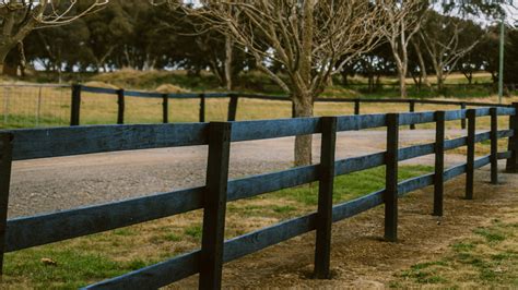 Oil-Based vs. Water-Based Fence Paint