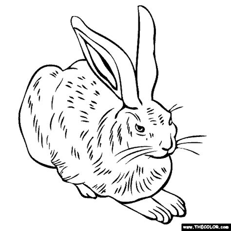 Albrecht Durer - Young Hare Painting Coloring page | Hare painting ...