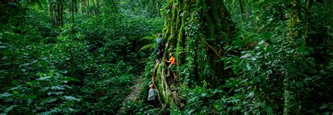 Hiking in Panama | Mountain, Rainforest & Beach Hiking Trails