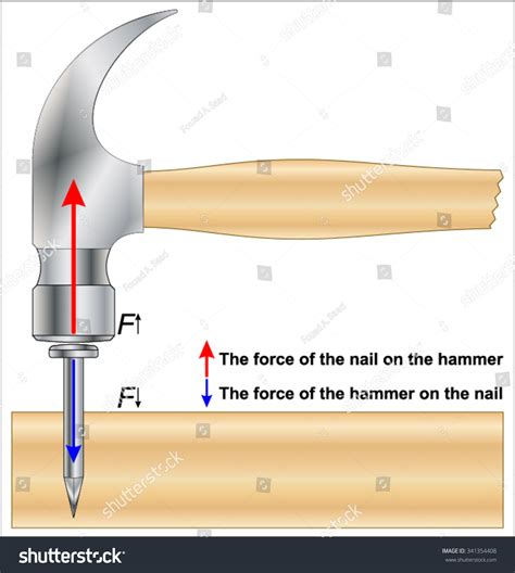 Newtons Third Law Motion Stock Vector (Royalty Free) 341354408 ...