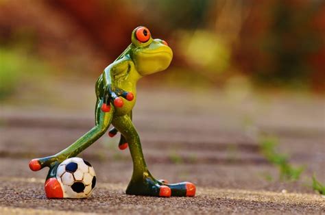 Funny, Cute, Frog, Sweet, Play, Football, soccer, no people free image | Peakpx