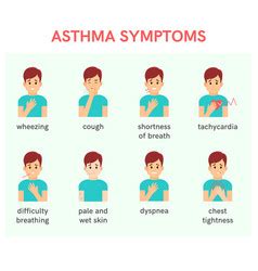 Asthma triggers flat icons Royalty Free Vector Image