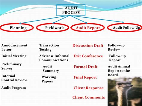 Audit Process, Audit Procedures, Audit Planning, Auditing | Internal audit, Audit, Business process