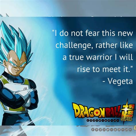 Vegeta Wallpaper Quotes Wallpapersafari - vrogue.co