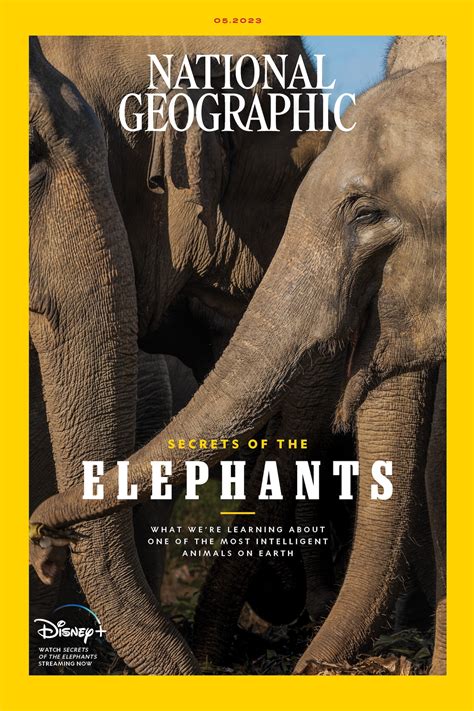 National Geographic Magazine Cover Animals